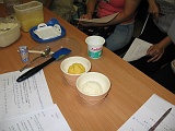 photo 037